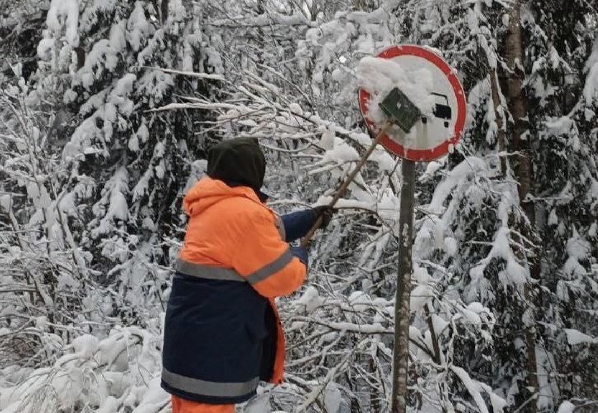   Фото: пресс-служба МТДИ МО