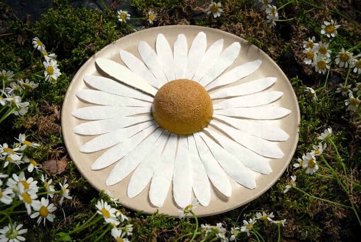 Предоставлено пресс-службой