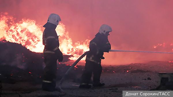     Фото: Донат Сорокин/ТАСС   
 Текст: Анастасия Куликова