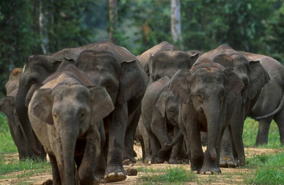    Фото: wikipedia.org