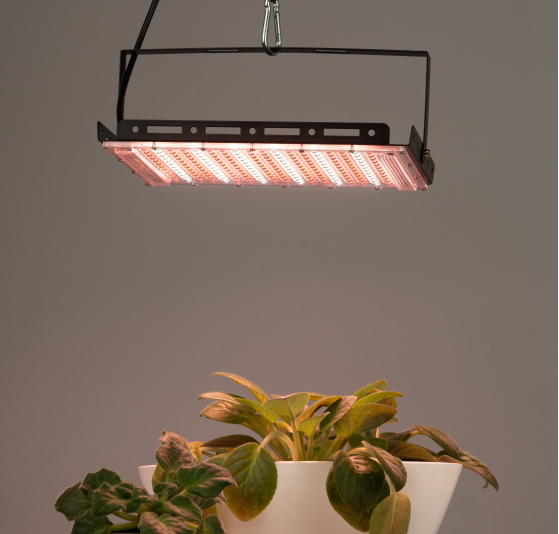 Фитопрожектор для растений светодиодный ЭРА GREEN LINE FITO-200W-Ra90-LED-Y-GR полного спектра 200 Вт