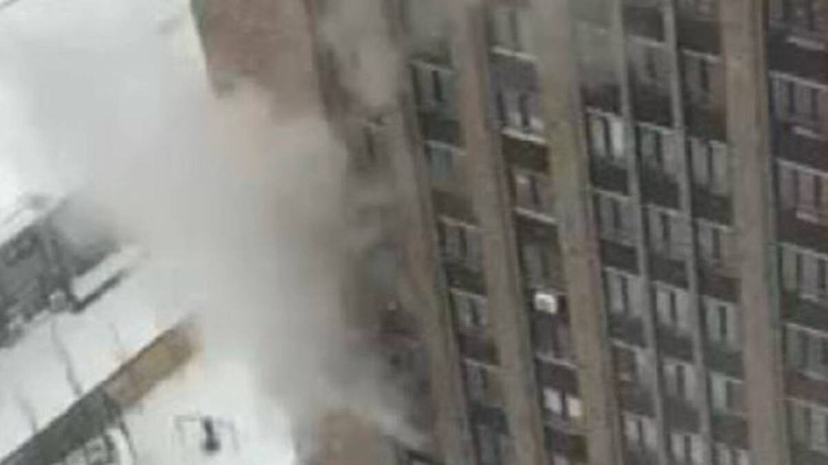    Фото: Скриншот видео / МК: срочные новости / Telegram