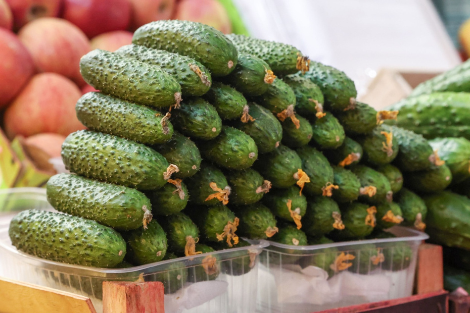    Алексей Белкин/NEWS.ru