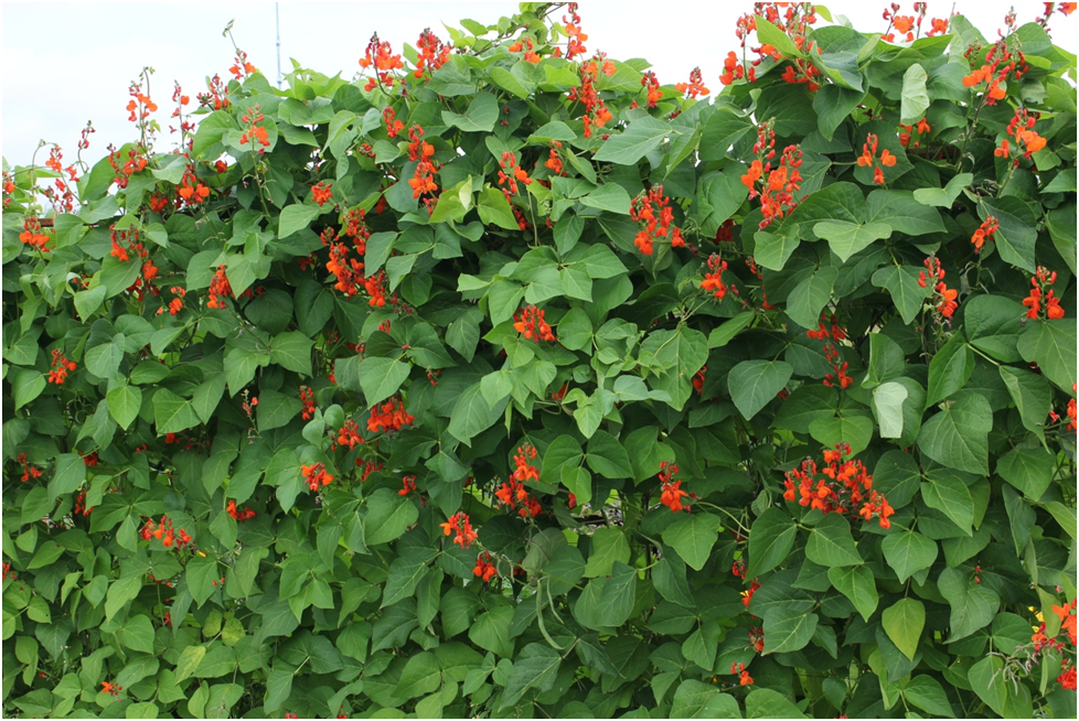 Личное фото автора.