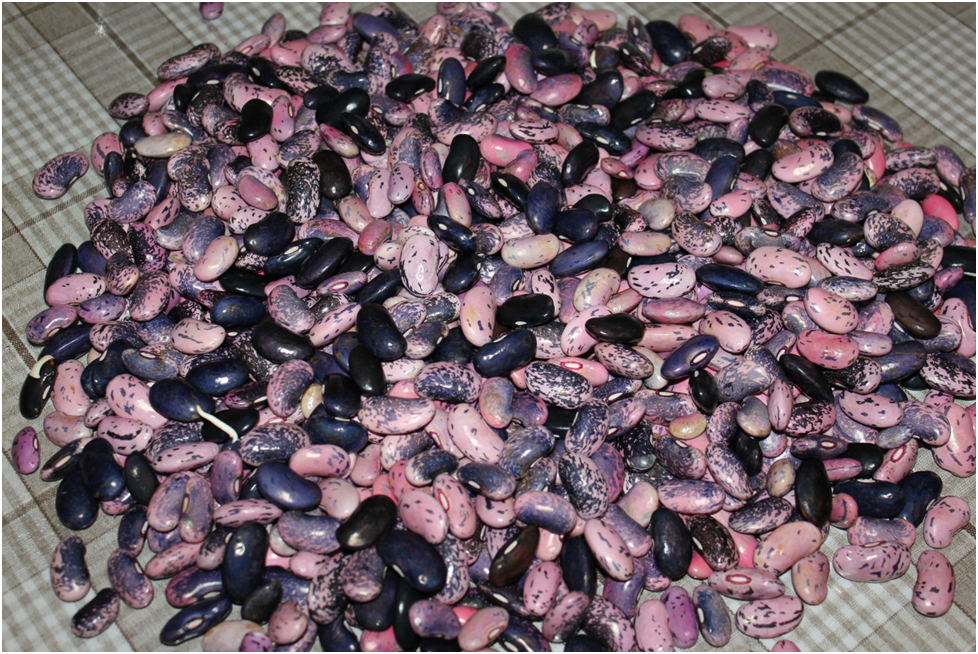 Личное фото автора.