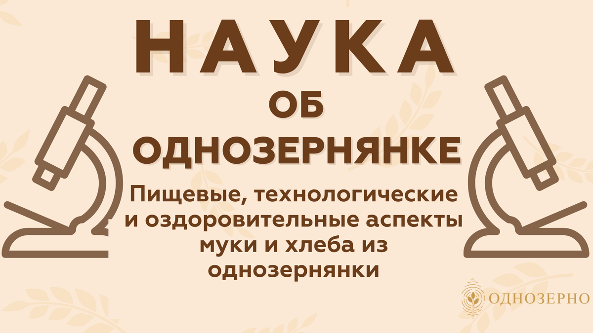 Alyssa Hidalgo, Andrea Brandolini