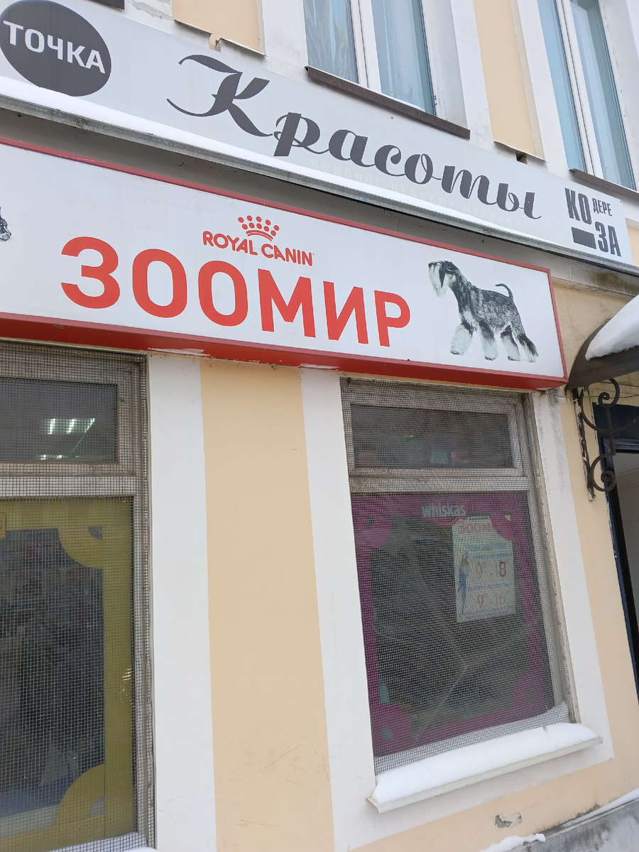 Фото автора