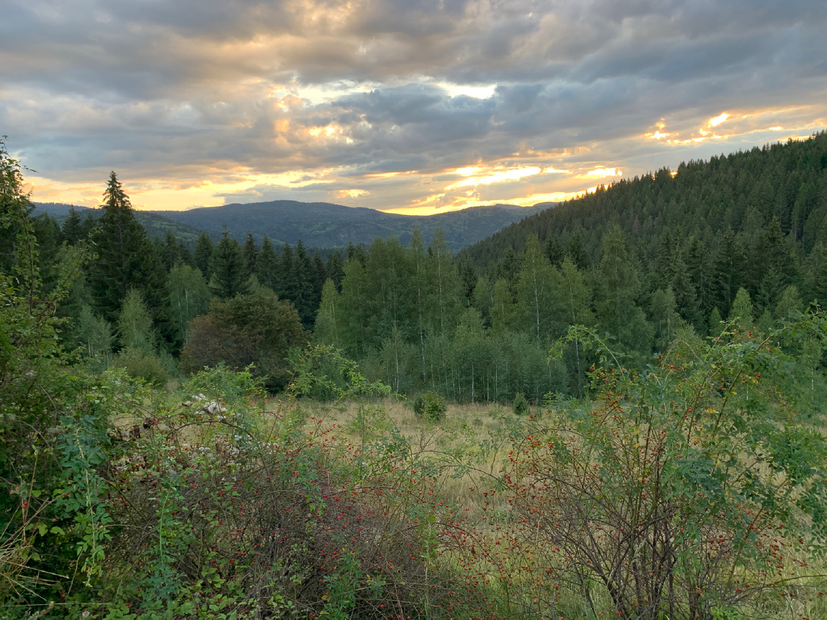 Для разбавления мрачной темы мошенников немного фотографий из Сербии. Гора Златар, Западная Сербия. Фото автора