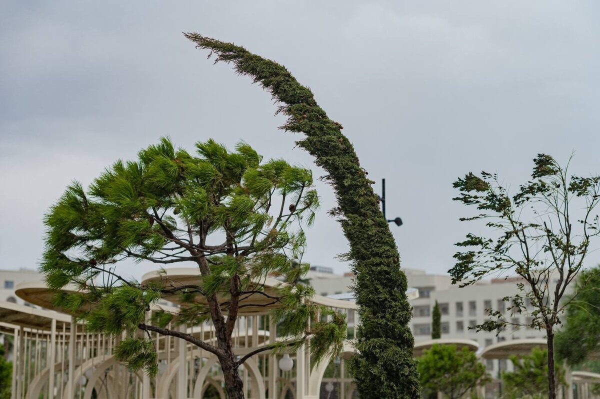 Фото: Telegram/Дмитрий Плишкин  📷
