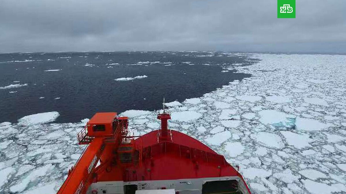    Фото: Zuma / TASS