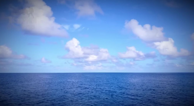 Фото: свободный доступ.