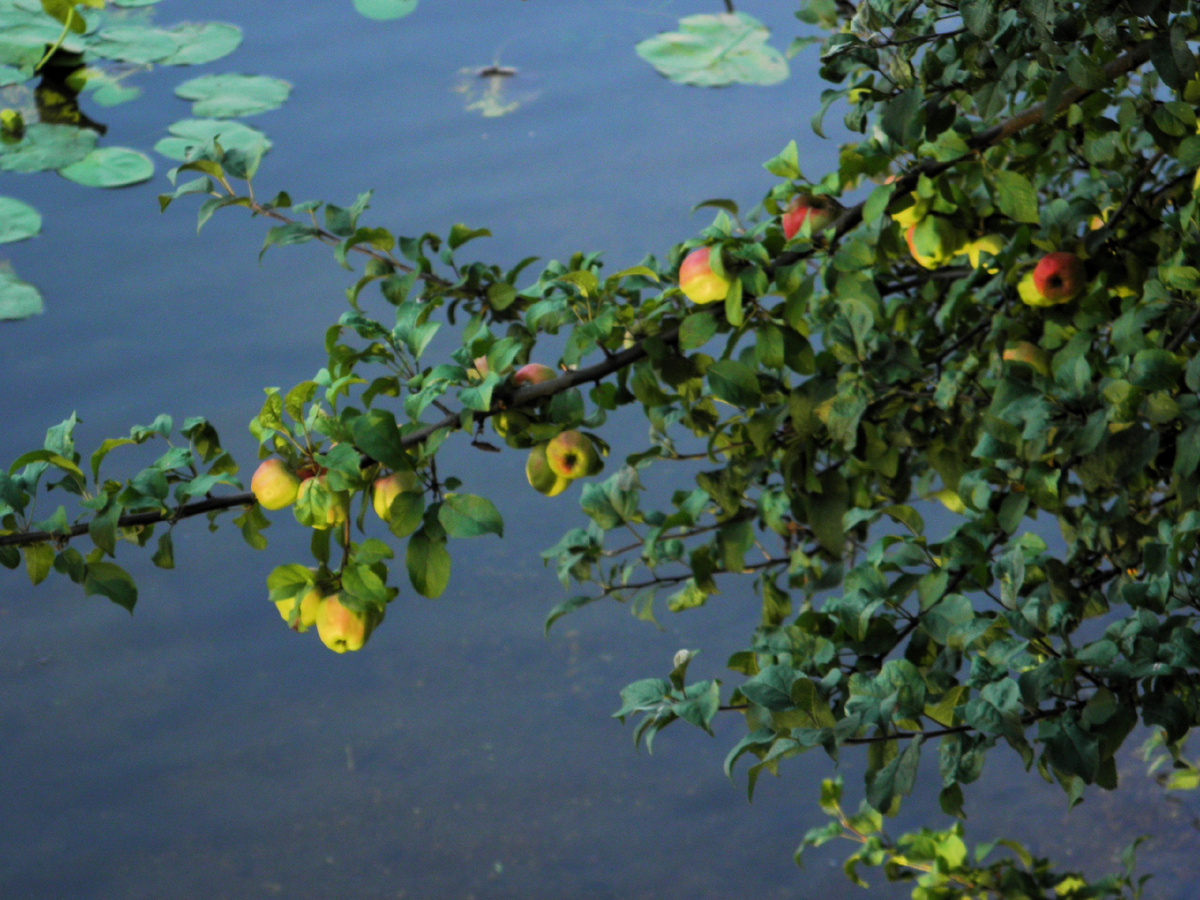 25 августа 2021 фотографии авторские.