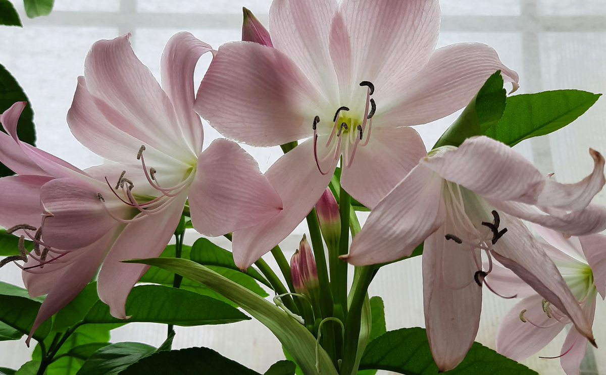 22 августа 2025 г. 