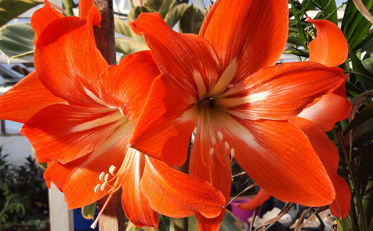 5 февраля 2026 г.