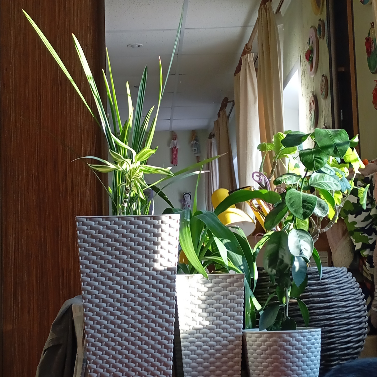 Цветочкам моим радость 