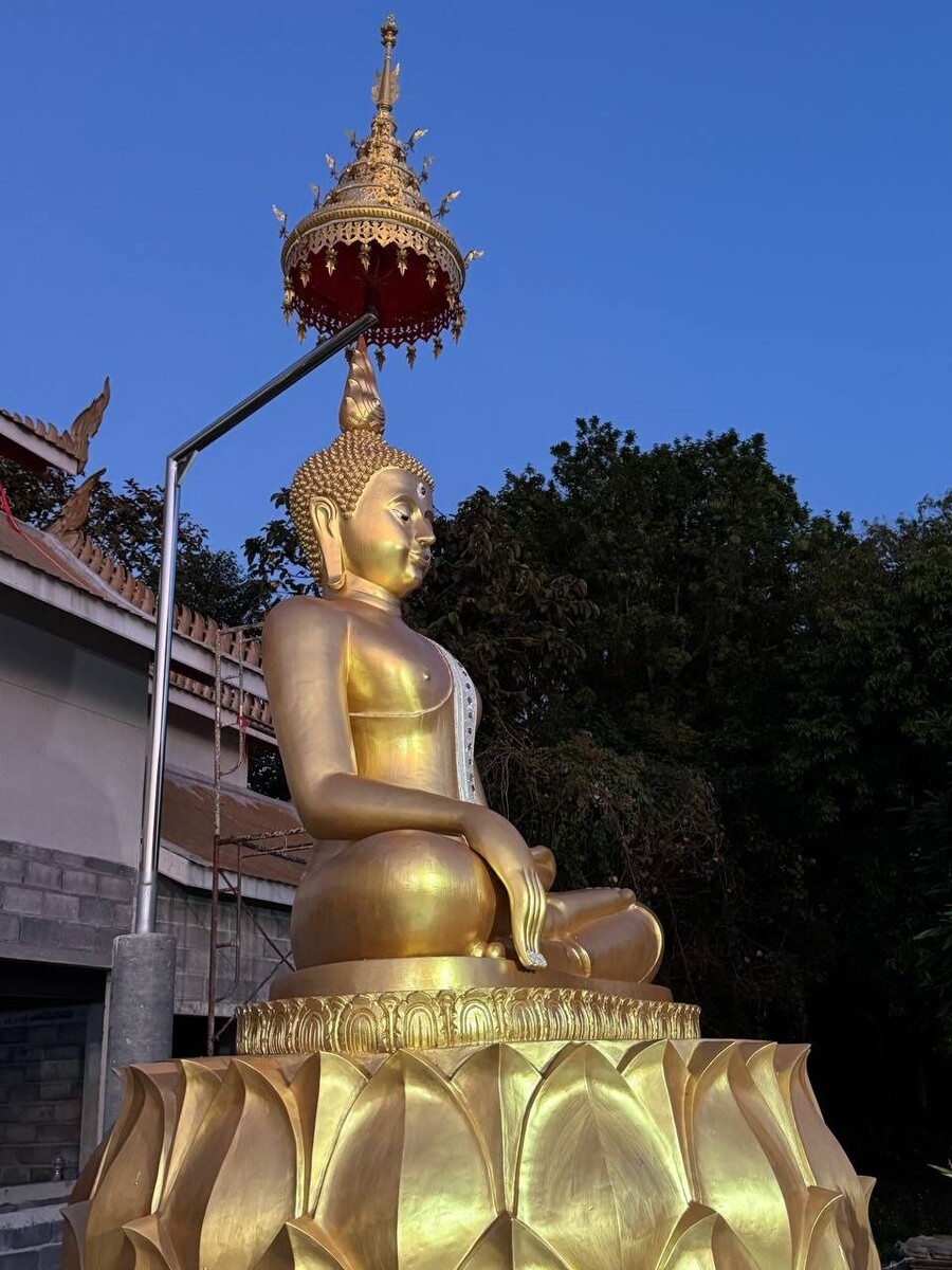    Ирина Безрукова улетела в Таиланд. Источник: t.me/bezrukova_telegram