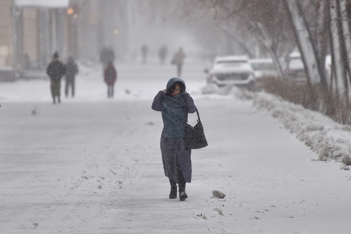 Фото: Полина Зиновьева, «Областная газета»