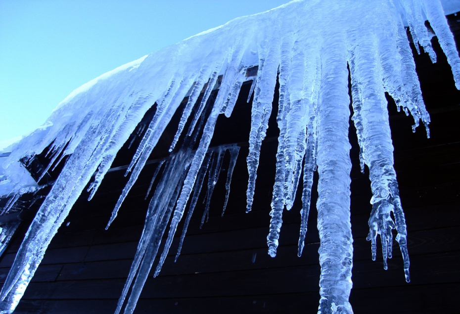    Shutterstock/FOTODOM