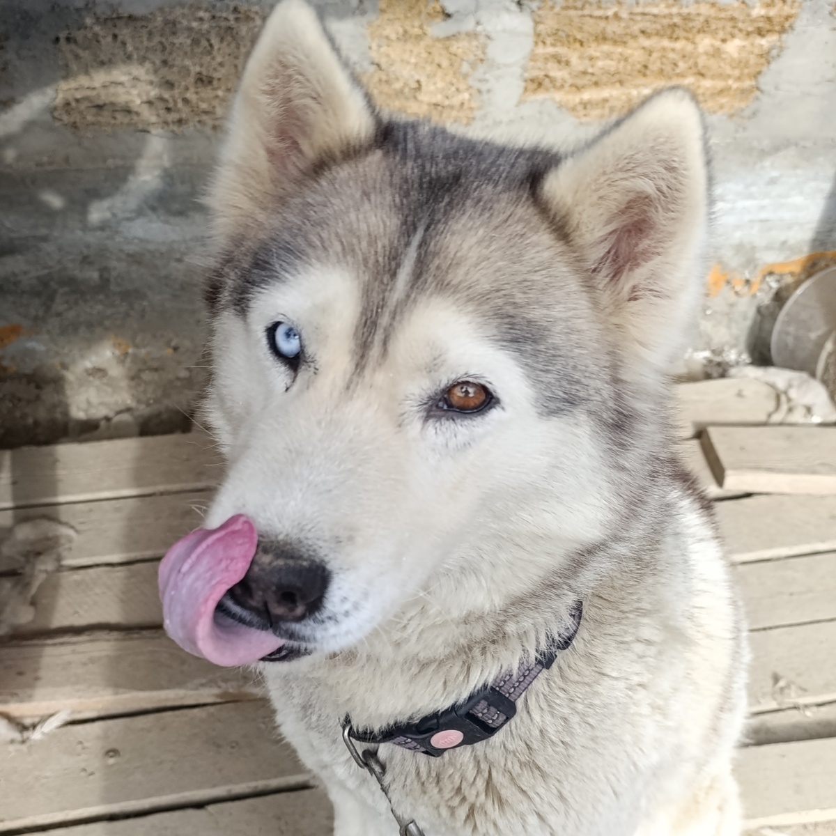 Это красотка? Эт яяяя!