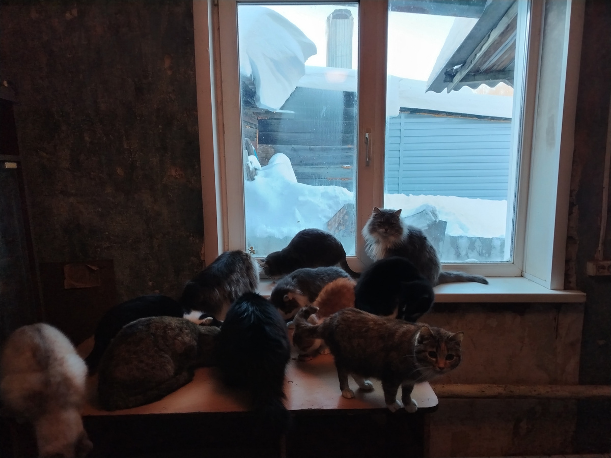 Первый дом. Прихожая. 