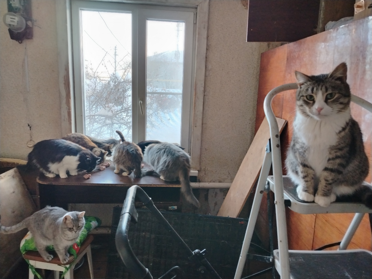 Первый дом. Спальня. 