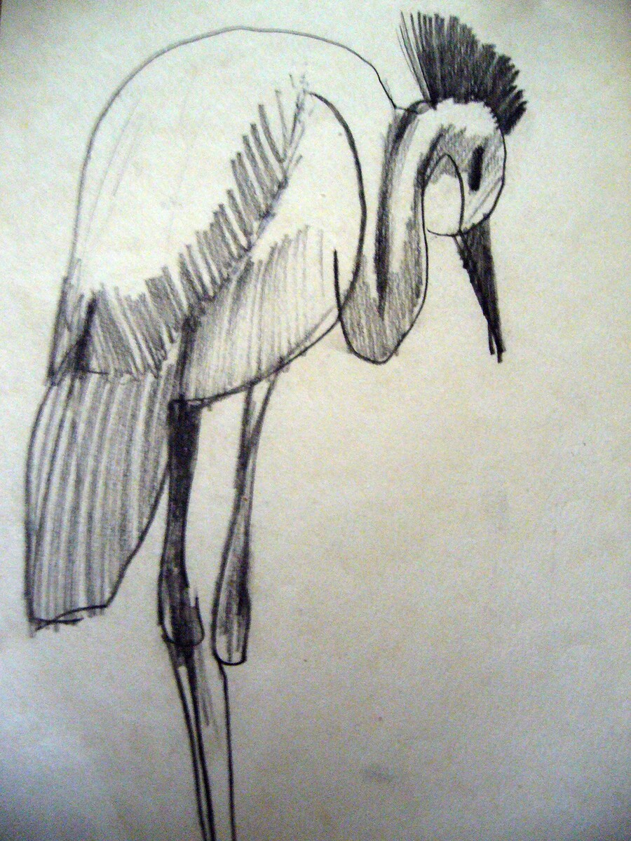 фото из архива автора