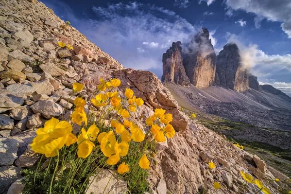 © Getty Images / LightRocket/Frank Bienewald