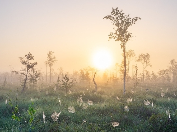     Фото: Антон Кораблёв