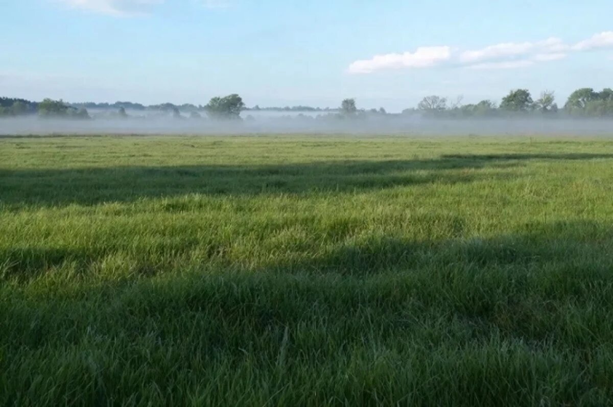    Юрист рассказал, как избежать рисков при покупке сельхозземель