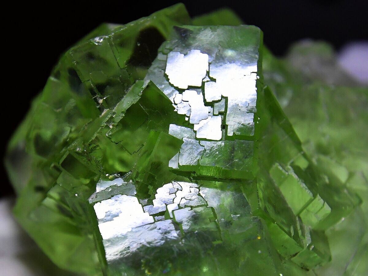    Музей геологии Сибири GEOS© РИА Новости . Илья Наймушин