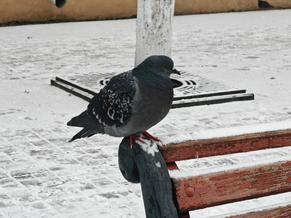 Фото автора канала.