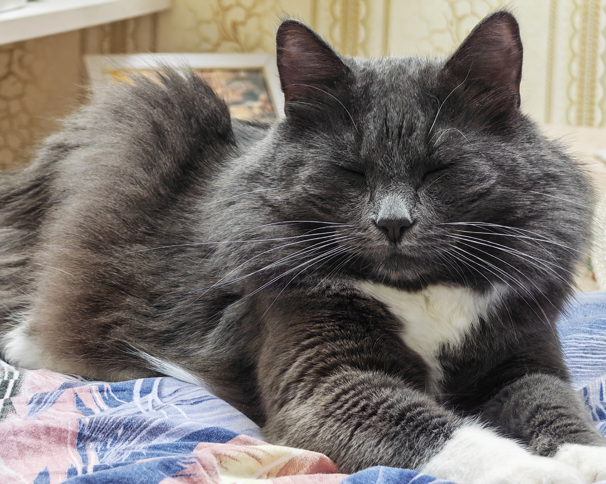 Фото автора канала.