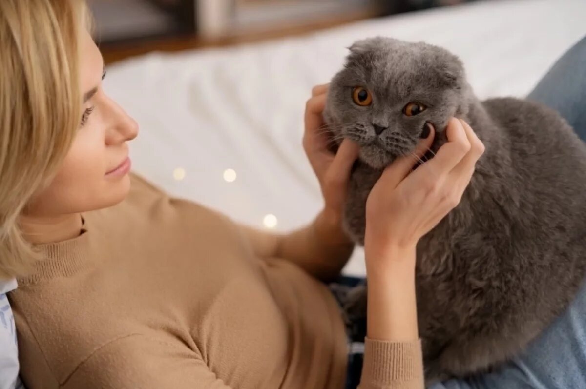    Это может убить кошку!