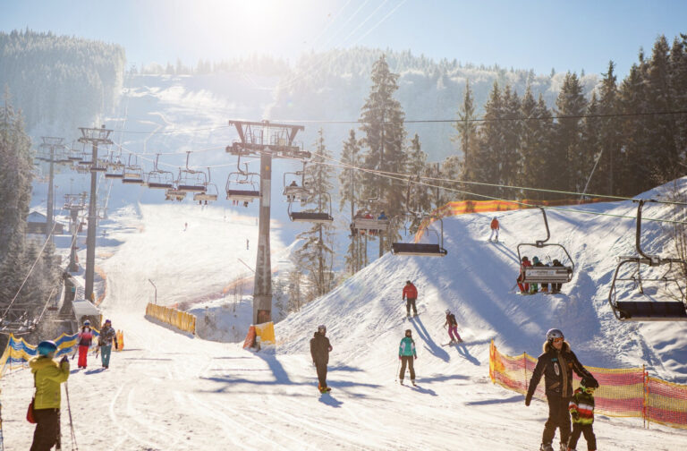    Фото: freepik.com/master1305 Илья Федоров