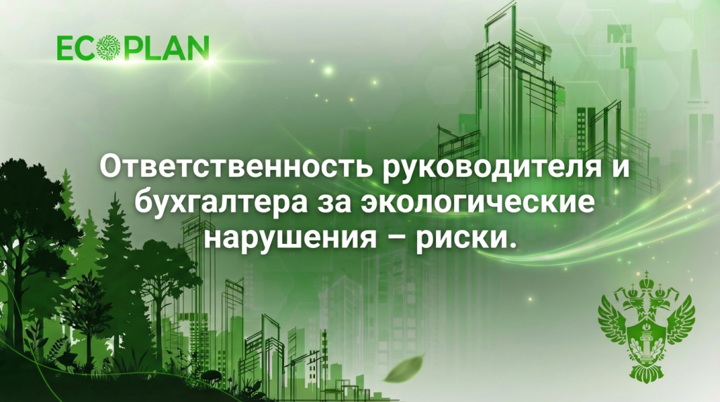    Ответственность руководителя и бухгалтера за эконарушения Ecoplan