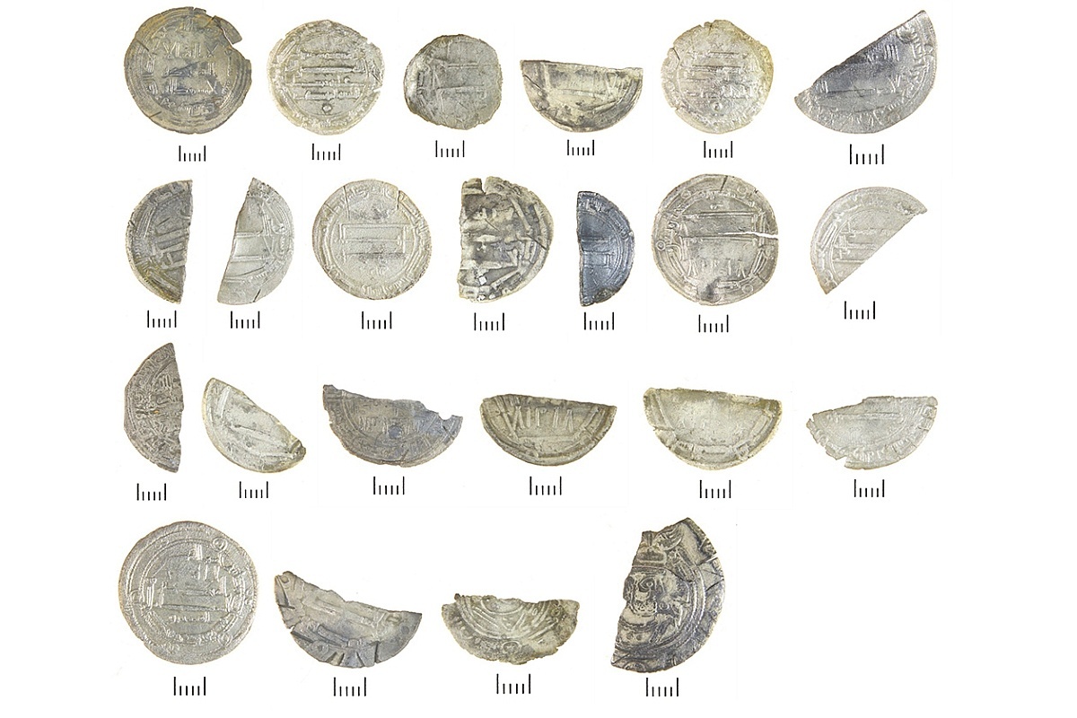    Монеты обнаружили недалеко от деревни Поляша. / vk.com/Музей-заповедник "Старая Ладога"