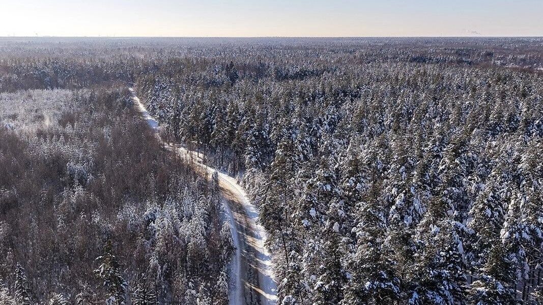   Egor_Lint/Shutterstock