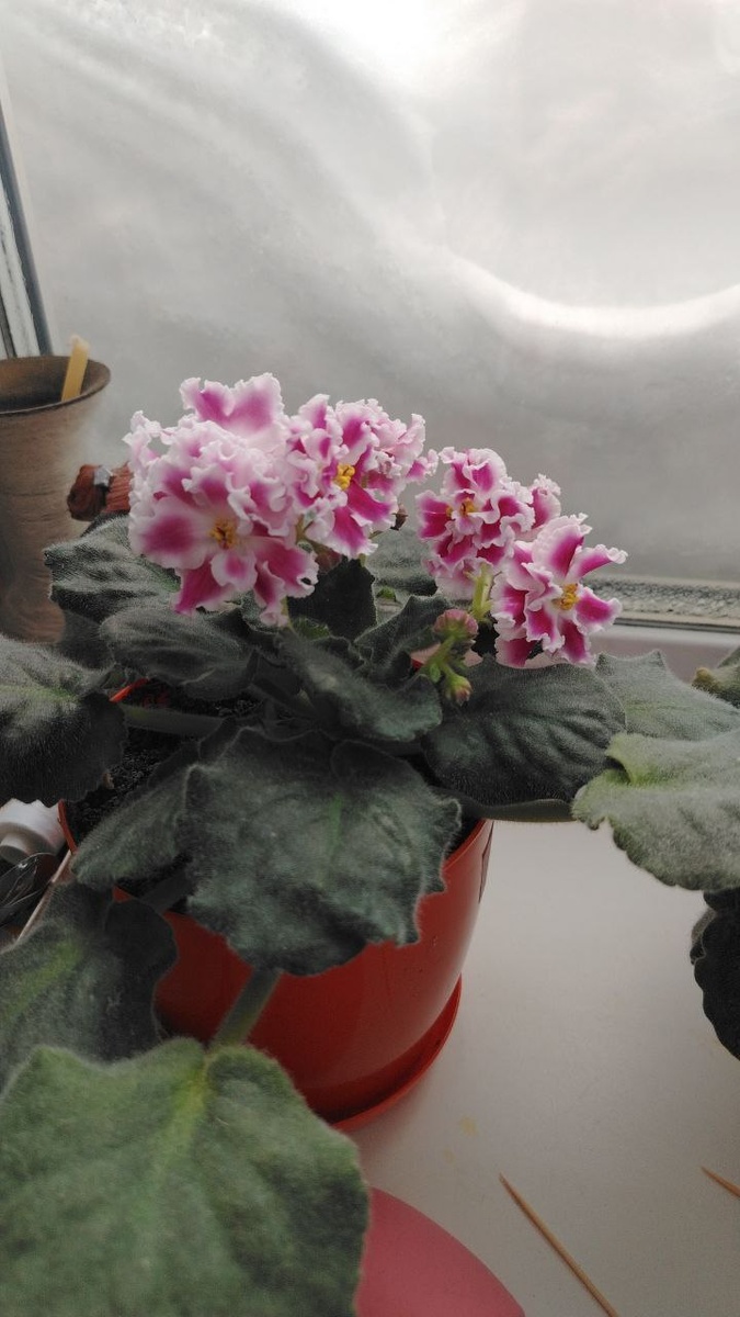 СРАЗУ БРОСАЕТСЯ В ГЛАЗА!