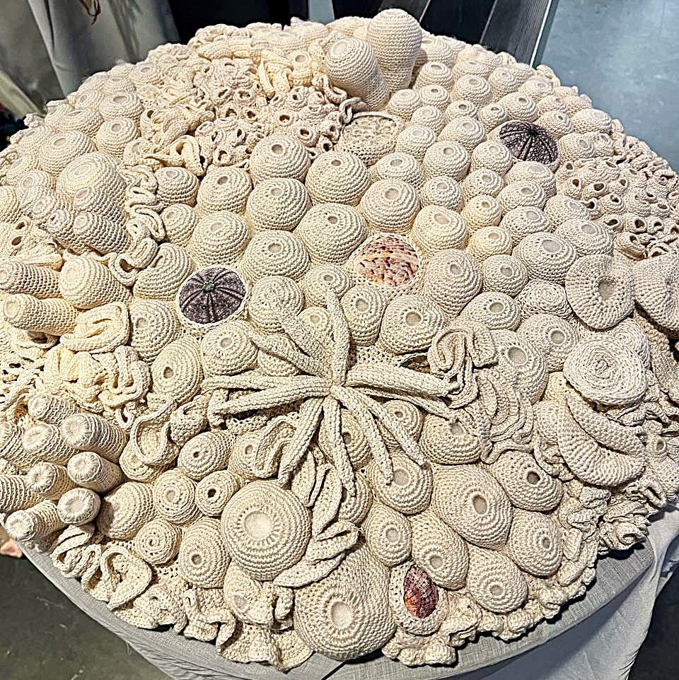 Вязанные кораллы. Фото моё.