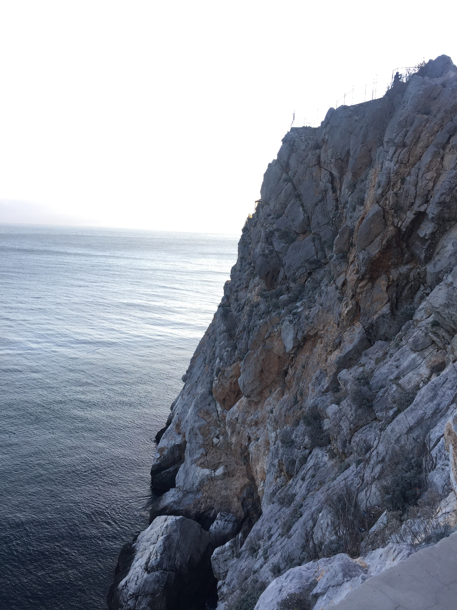 Пейзаж у ласточкиного гнезда