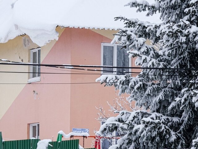    Фото: ТАСС/Александр Алтурин