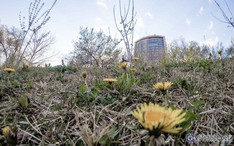 Фото: Volganet.net