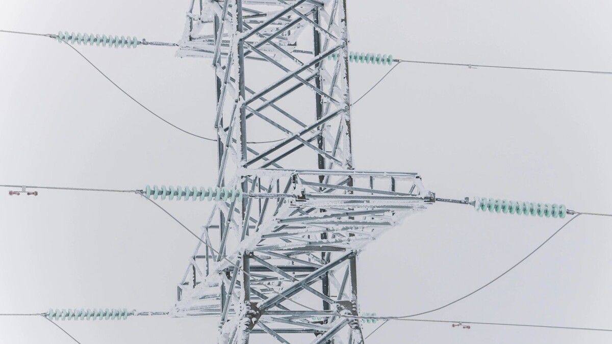    Фото: Владислав Мояк