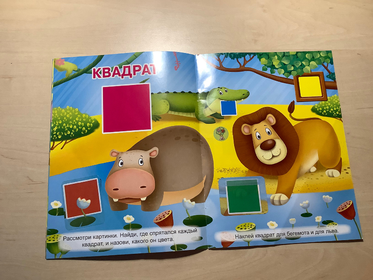 Книга «Играем с формами». Фото автора канала