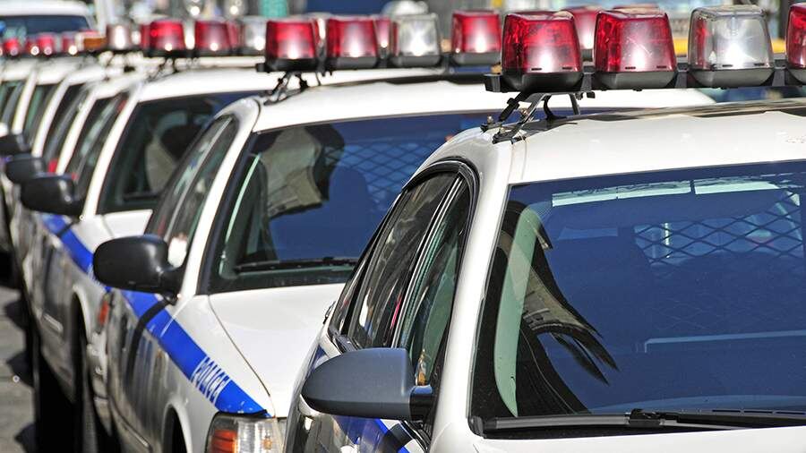    Фото: Global Look Press/W. G. Allgoewer