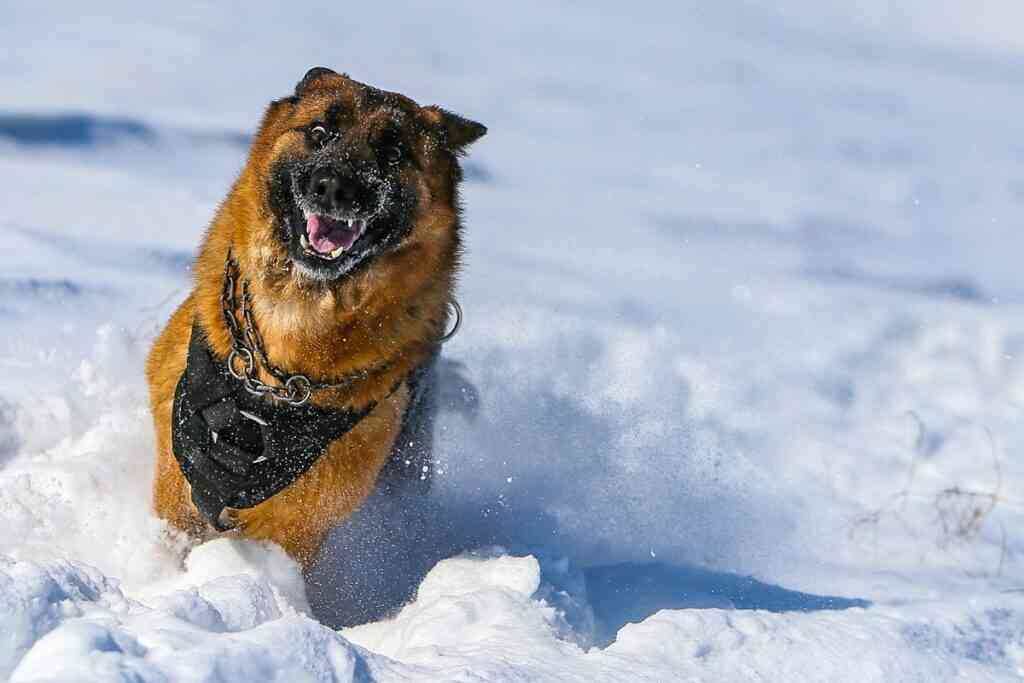 фото: vk.com/mil