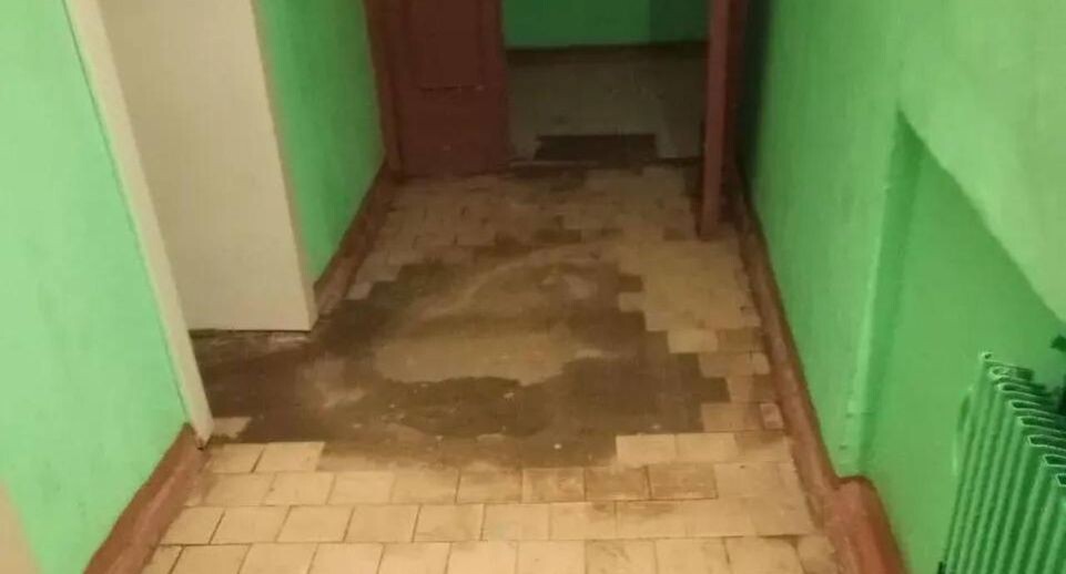    администрация Дмитровского муниципального округа