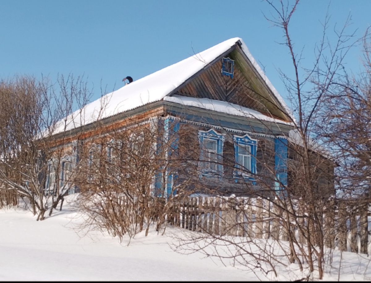 фото автора, в морозный день