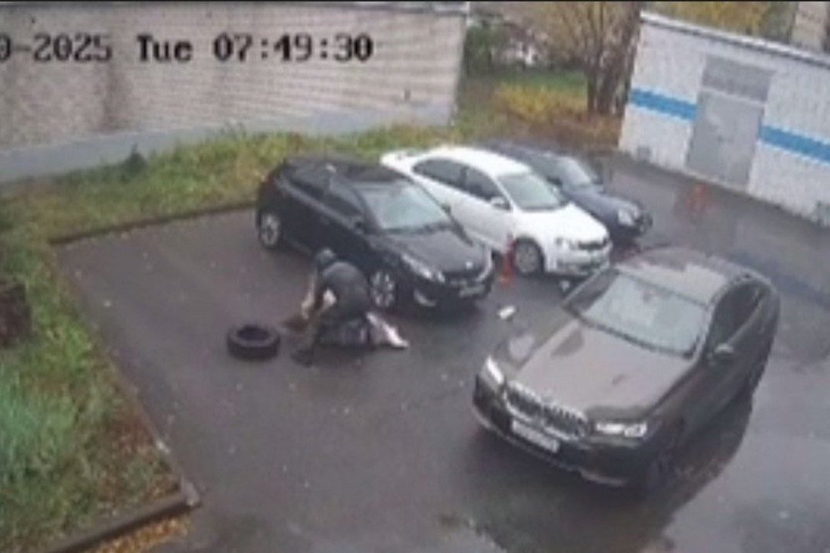   скриншот видео МВД РФ