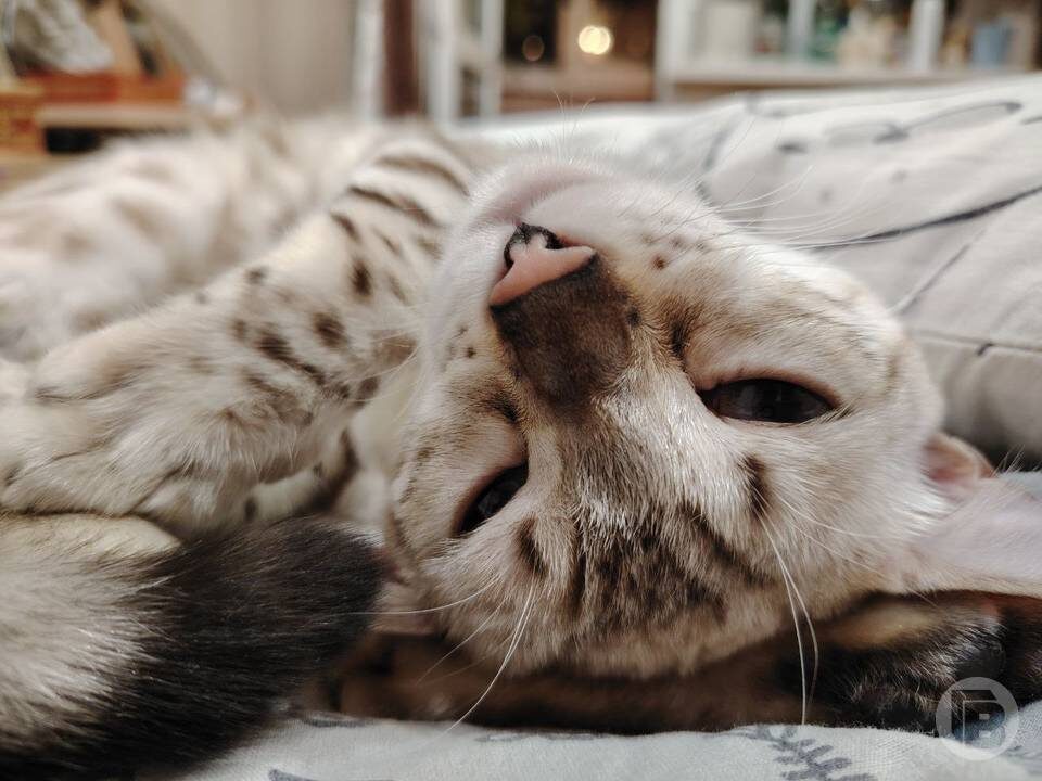    Фото: "Городские вести"